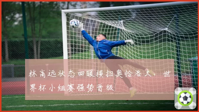 林高远状态回暖横扫奥恰洛夫,世界杯小组赛强势晋级
