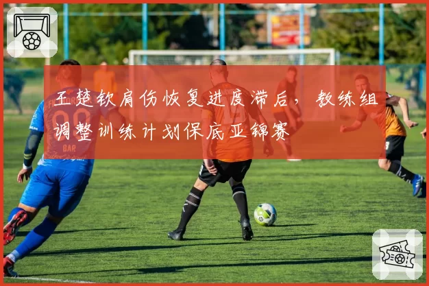 王楚钦肩伤恢复进度滞后，教练组调整训练计划保底亚锦赛